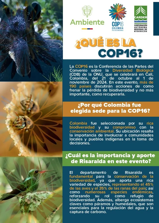 !QUÉ ES LA COP16!