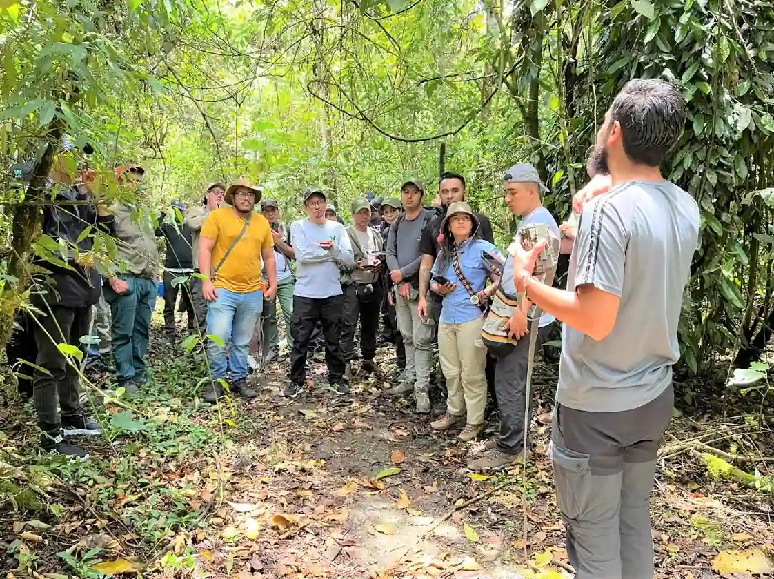Monitoreo de Puma y Oso Andino en el DRMI Cuchilla del San Juan y el PNN Tatamá: un avance clave para la conservación de grandes mamíferos en Colombia