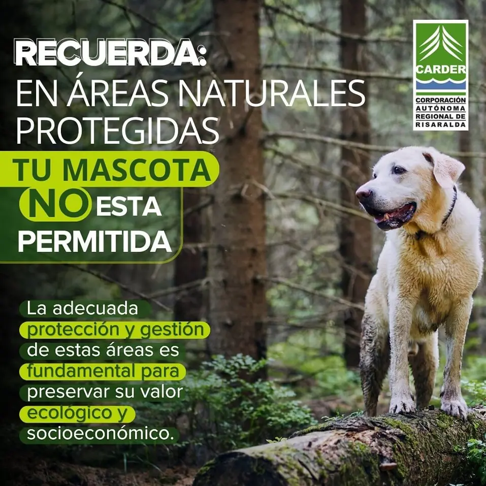  ¡Atención amantes de la naturaleza! Recuerda que en las áreas naturales protegidas, tu mascota no está permitida.