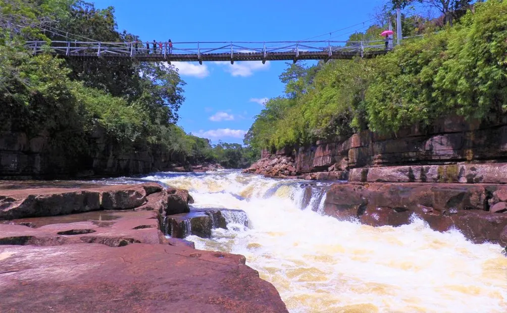 Colombia presenta ambiciosas metas para proteger su biodiversidad para el 2030