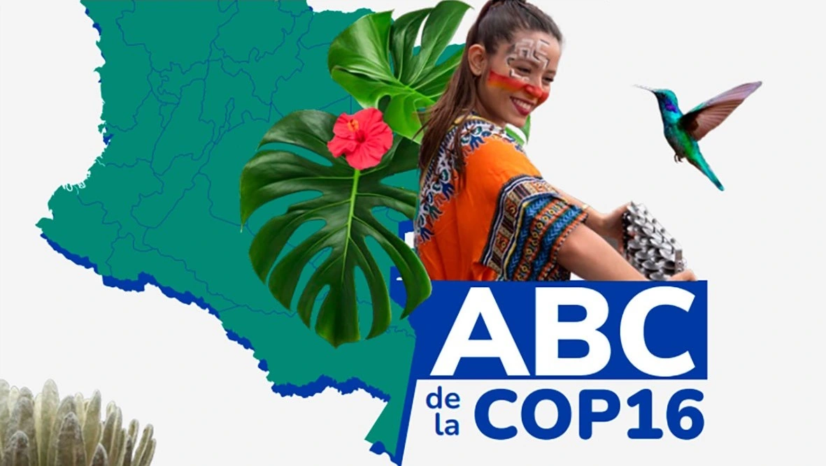 ​Conozca el ABC completo  de la COP16