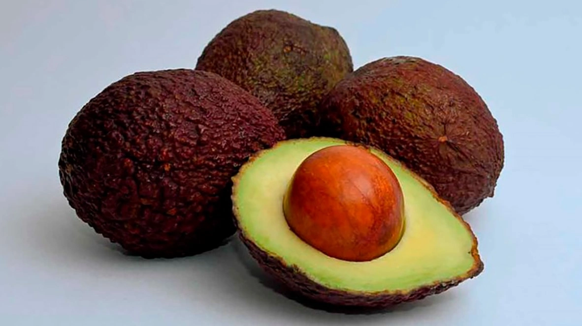 Exportaciones no minero energéticas crecieron 7% entre enero y julio de 2024, alcanzando US$12.463 millones