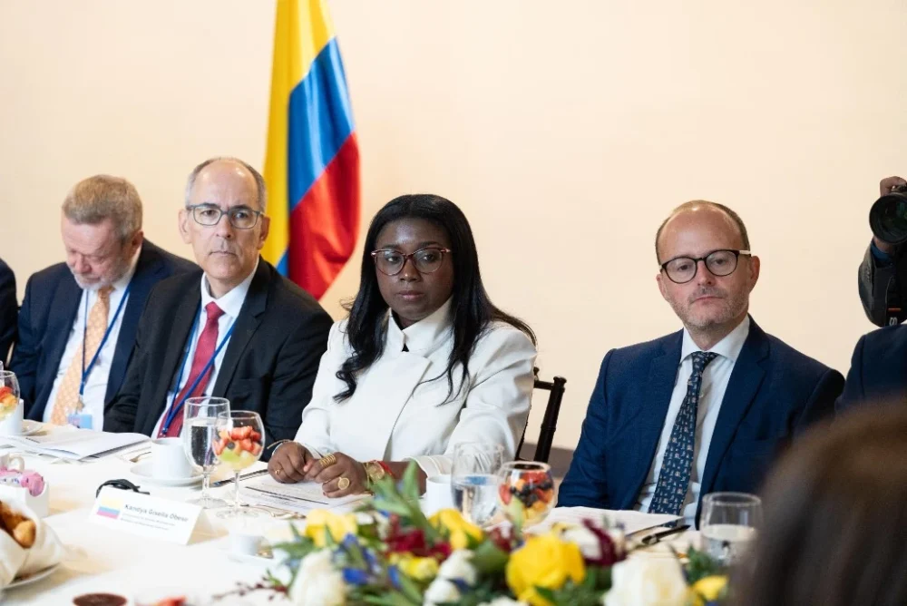 Reunión de Países en la ONU aborda desafíos del sistema de fiscalización de drogas