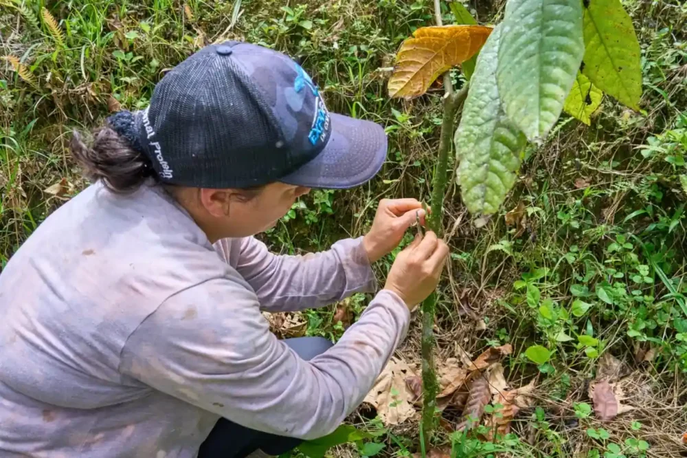 Más de 12.000 mujeres rurales cuentan con protección ante los efectos del cambio climático