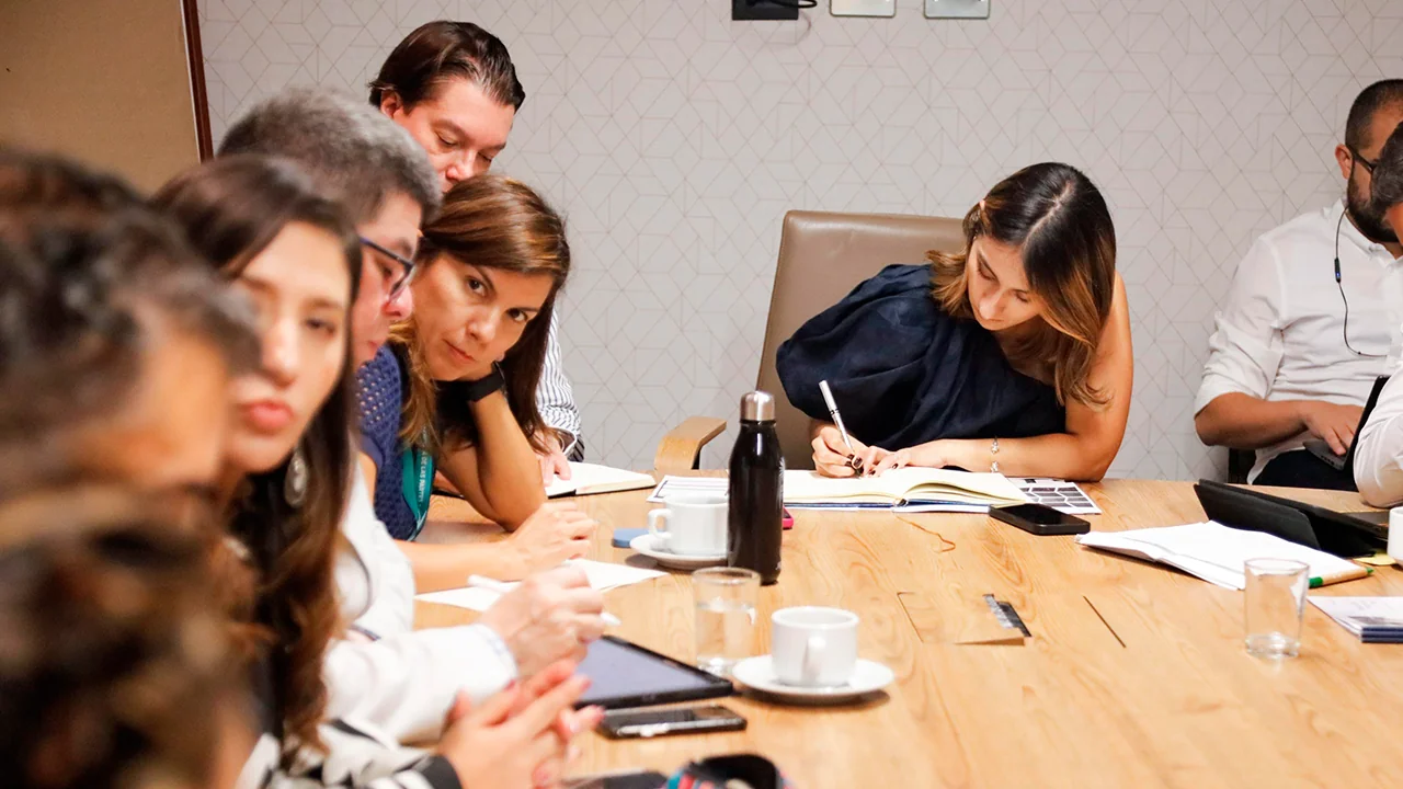 Directora del DAPRE busca acuerdos con el sector privado para agilizar la transmisión energética