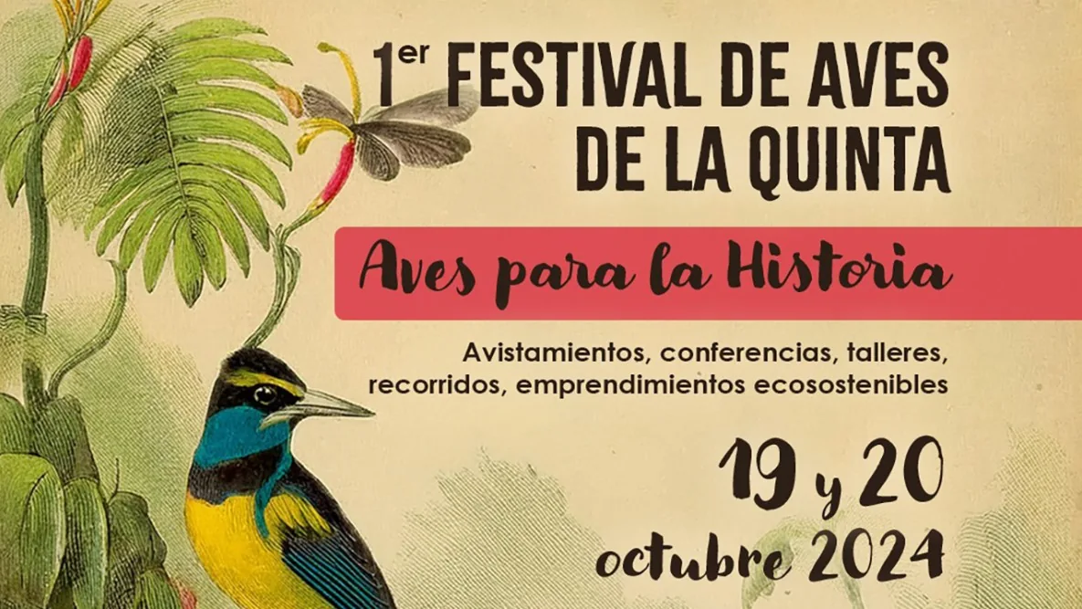 Previo a la inauguración de la COP16 se realizará en Bogotá el ‘Primer festival de aves de la Quinta: aves para la historia’
