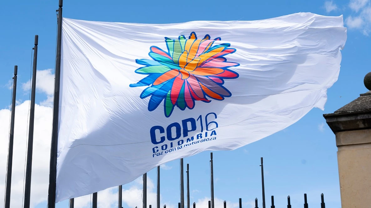 Ministerios y entidades del Gobierno nacional izaron la bandera de la COP 16 a una semana del inicio del gran evento de la biodiversidad en Cali