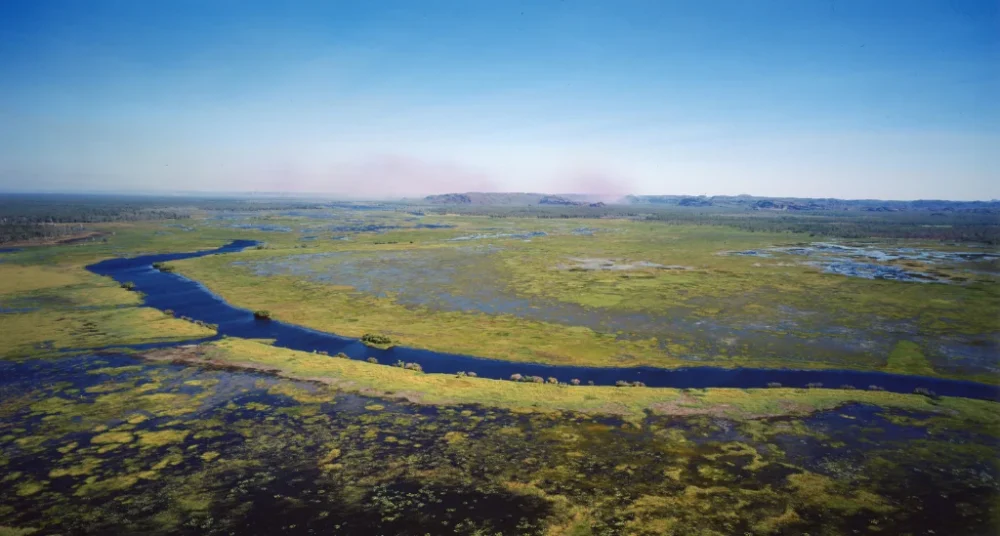 Ecopetrol Recibe Premio Bóscar por Conservación de Ecosistemas en COP16, tras sembrar 600.000 árboles en humedales de Colombia