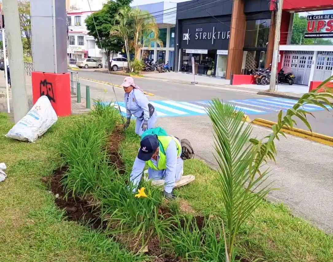 Los parques urbanos y comunitarios de Pereira cuentan historias de cuidado y conservación