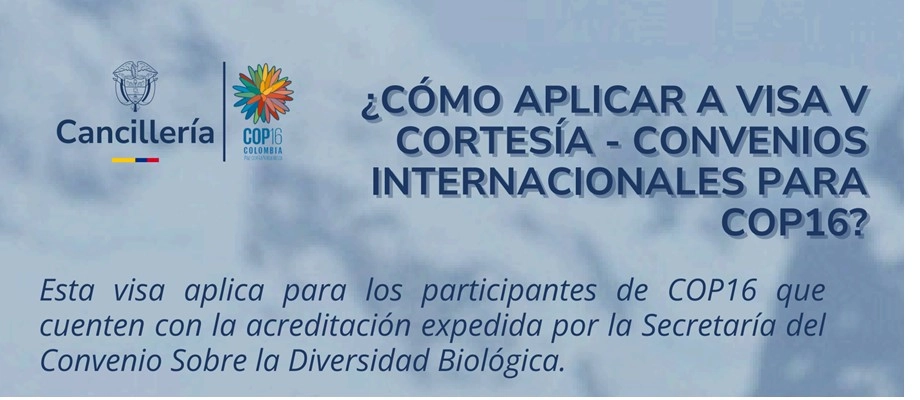 Paso a paso para realizar su solicitud de visa para la COP16
