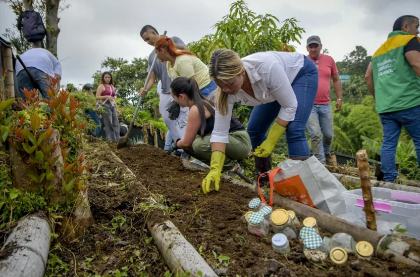 Programa de huertas campesinas fortalece la seguridad alimentaria y sostenibilidad en el campo