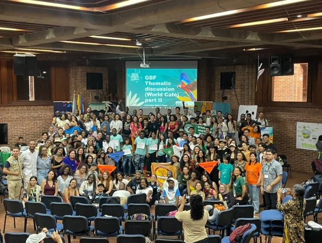 Los Erizos Albinos africanos no son animales domésticos en nuestro país