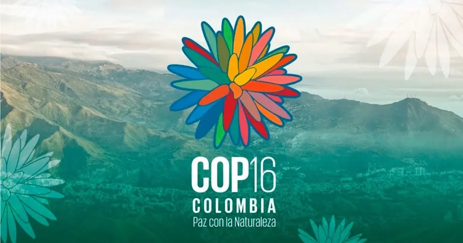En video: balance COP16