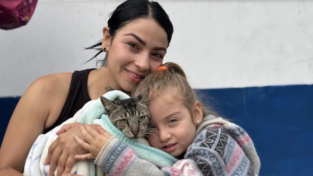 Alcaldía de Dosquebradas realizará maratón de vacunas para mascotas