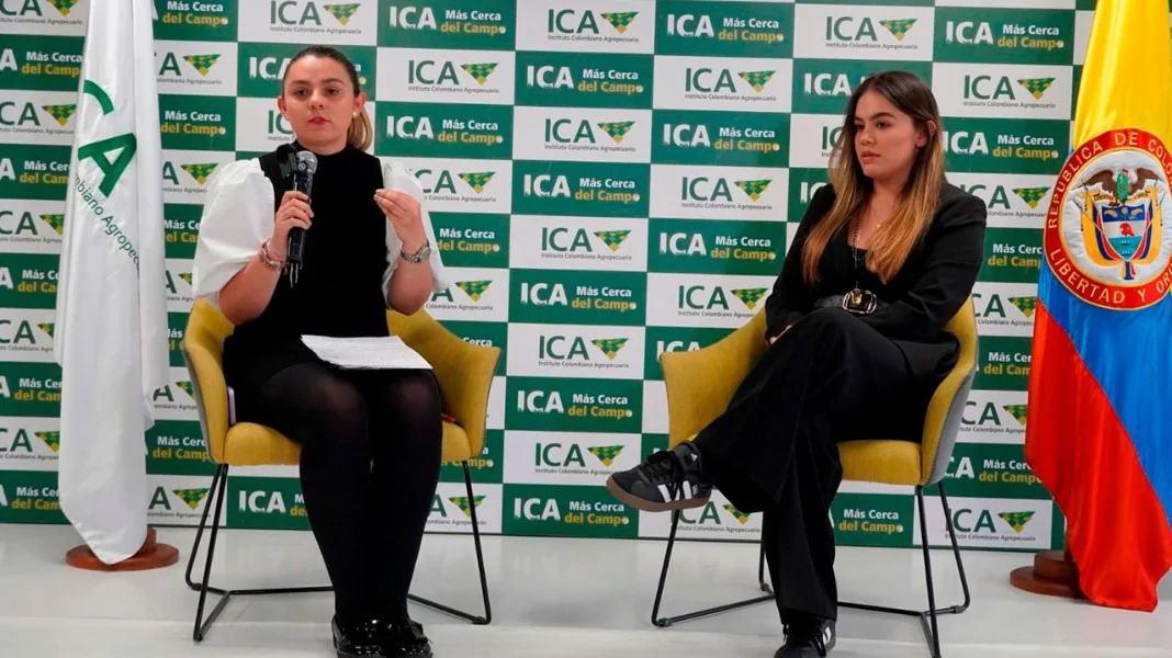 Colombia empezó proceso para exportación de carne bovina y bufalina a Estados Unidos y Canadá