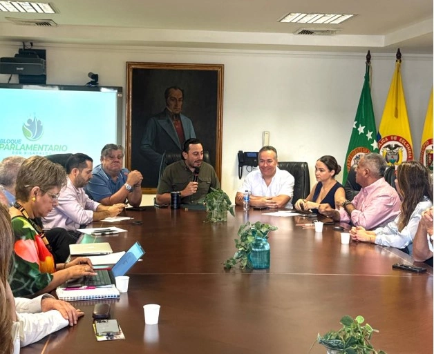 Alcalde de Pereira presentó proyecto de modernización del Alumbrado Público ante bloque parlamentario