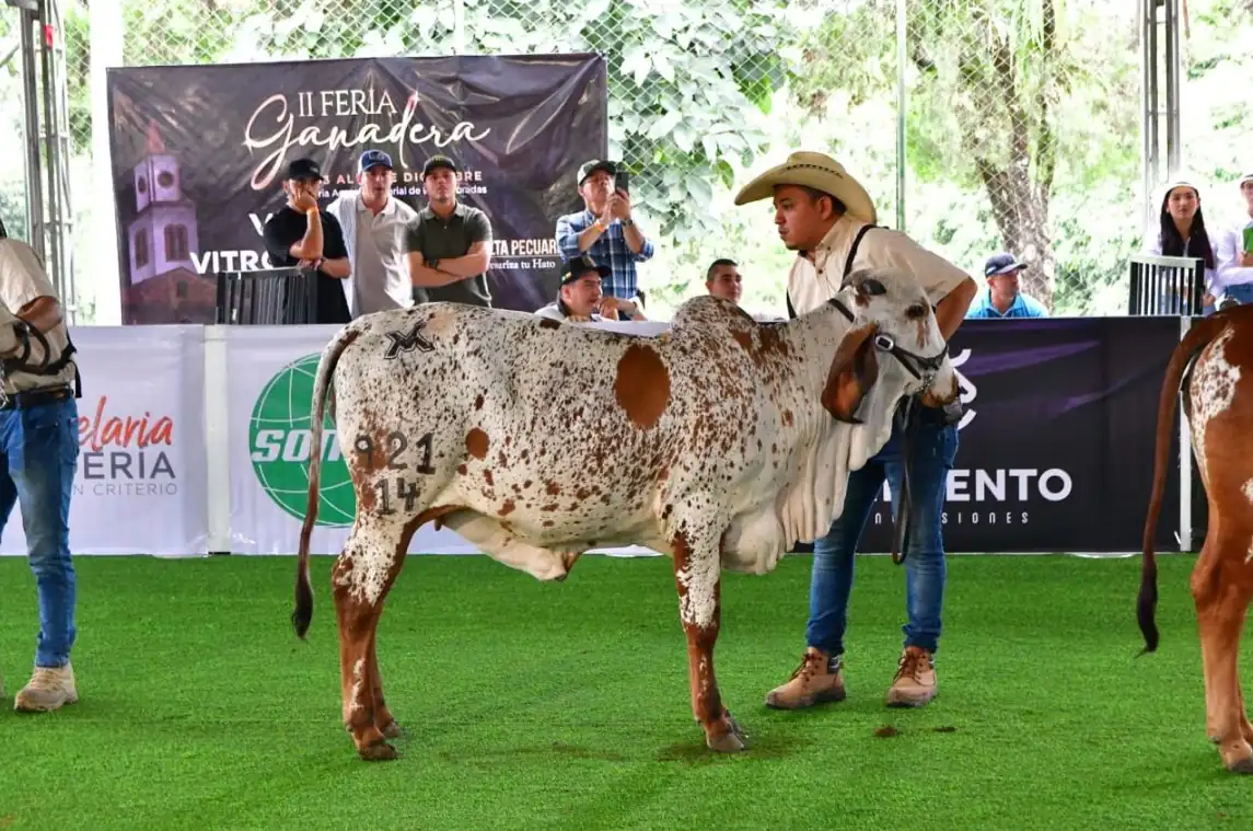 Infider, una entidad que apoya las expresiones multiculturales y deportivas en Risaralda