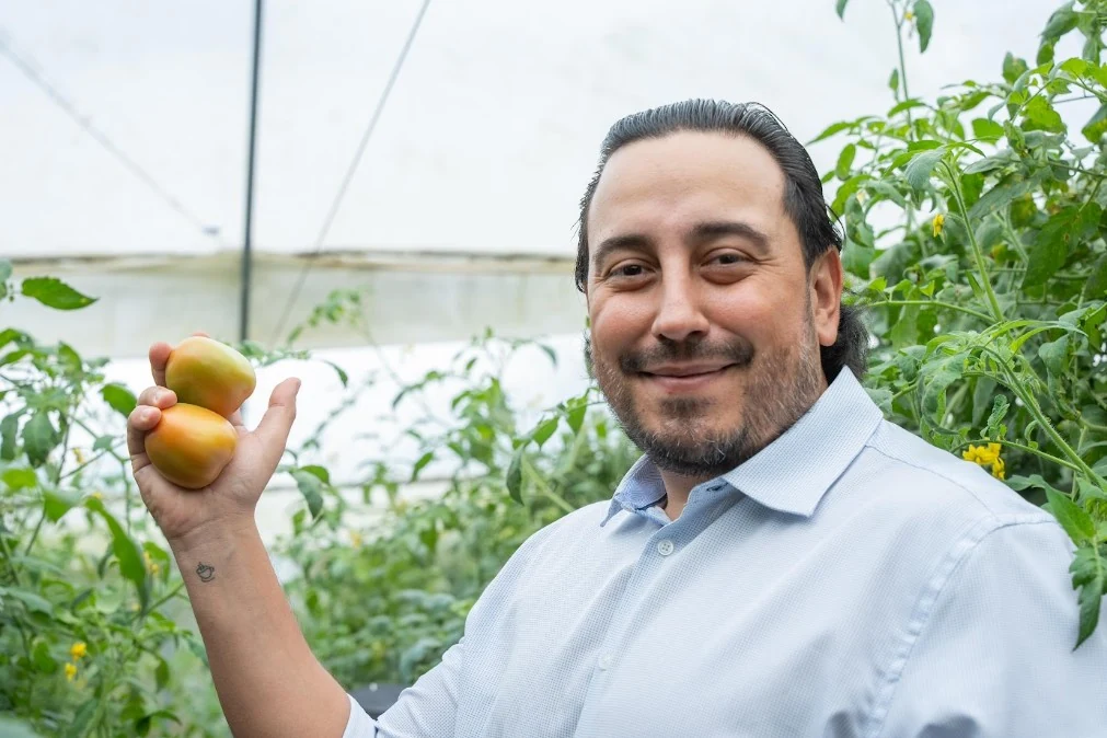 Proyecto productivo de Marsella abastece al PAE con innovación agrícola