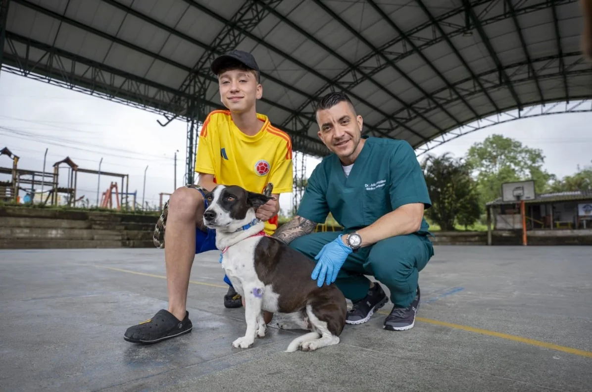 Protege a tu peludito con la jornada de vacunación y desparasitación de este jueves, en La Virginia