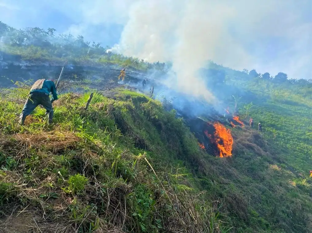 Tres municipios de Risaralda en alerta ante posibles incendios de cobertura vegetal