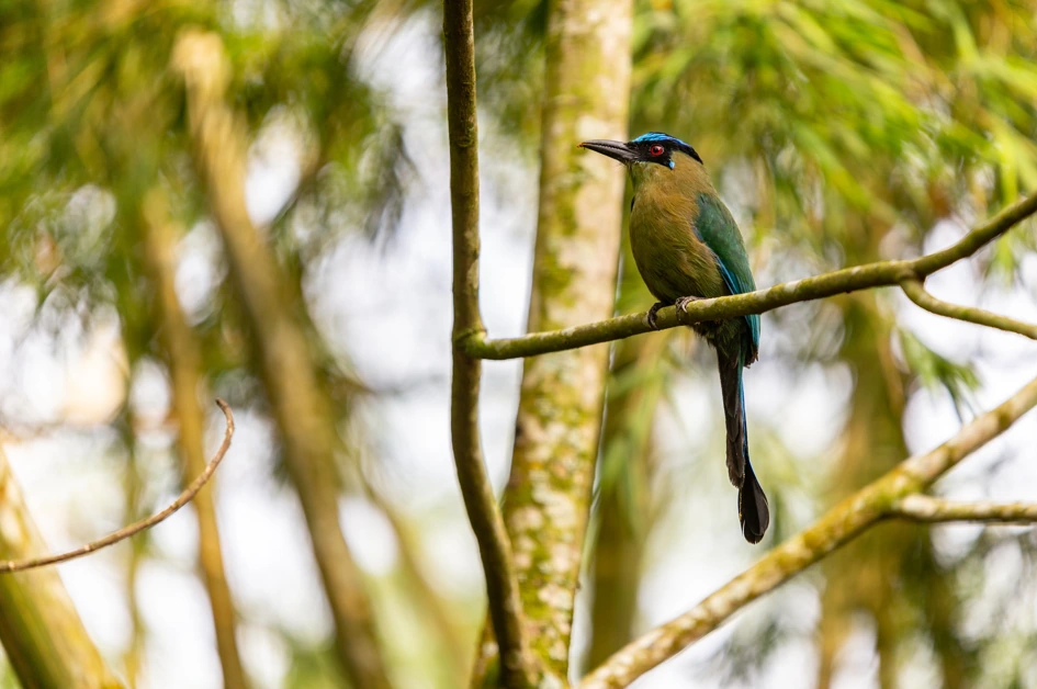 Risaralda se consolida como líder del Eje Cafetero en el ranking nacional de competitividad turística