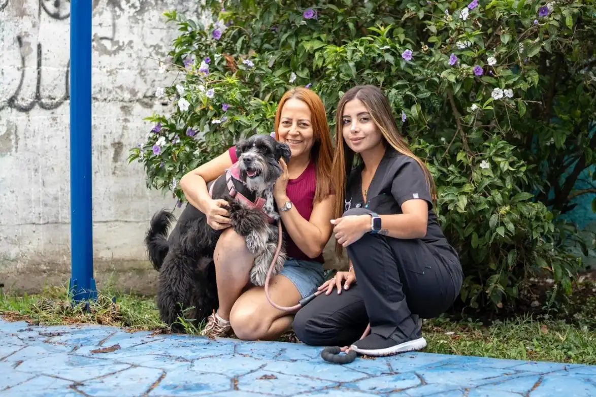 Gobernación atendió a más de 200 mascotas con su programa ‘Risaralda Cuida con Amor’, en Mistrató