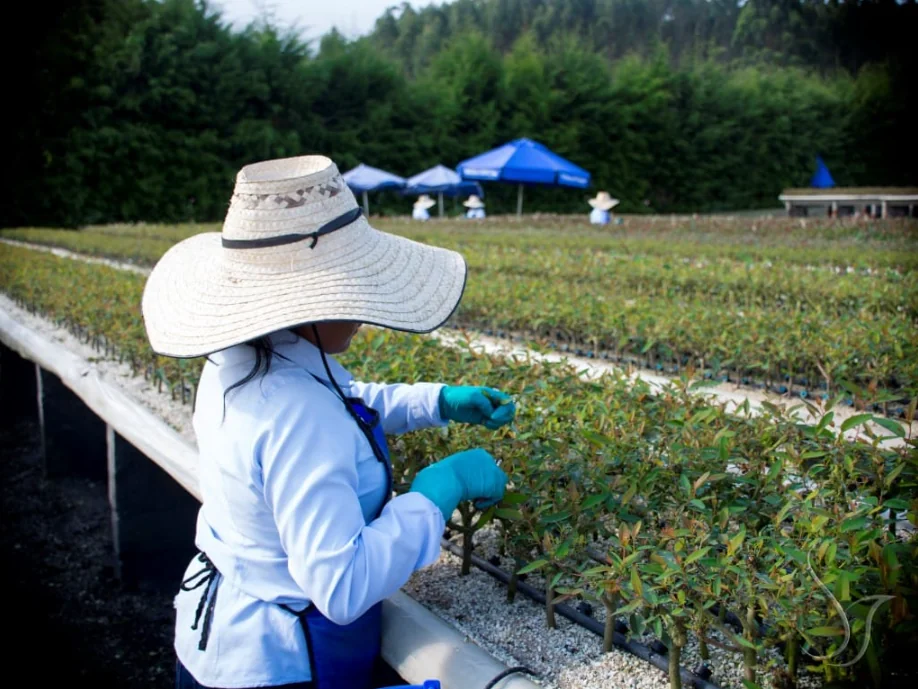 Aprende de todo con el SENA: es fácil, ingresa a la plataforma ZAJUNA y encuentra el curso de tu interés
