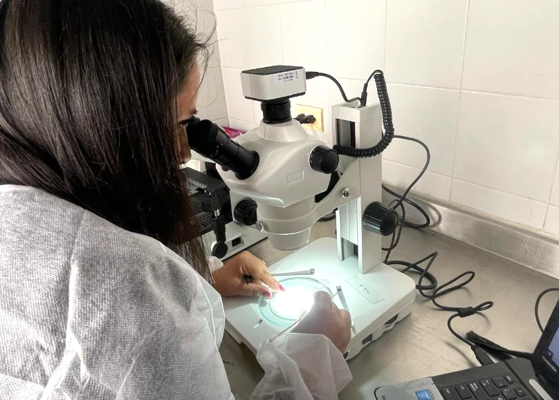 Dosquebradas se pone a la vanguardia en equipos de investigación entomológica