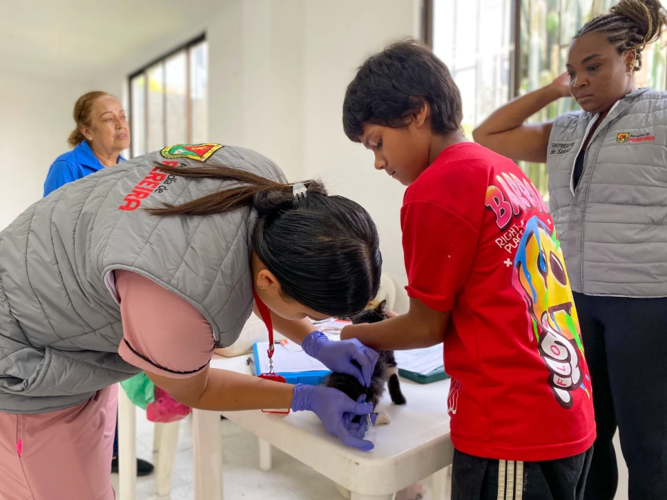 Pereira protege a sus animales de compañía con vacunación antirrábica gratuita