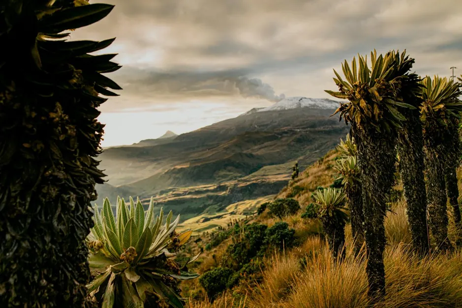 La RAP Eje Cafetero presente en las mesas de trabajo para la protección del Parque los Nevados