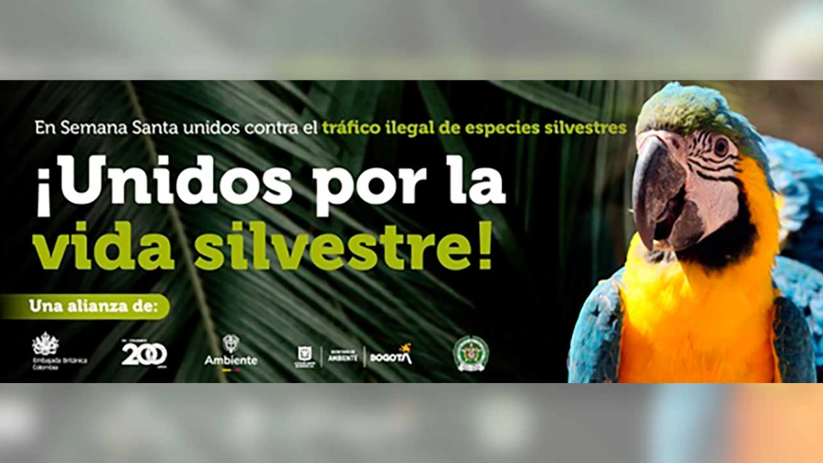 Avanza campaña nacional para prevenir el tráfico ilegal de vida silvestre en Semana Santa