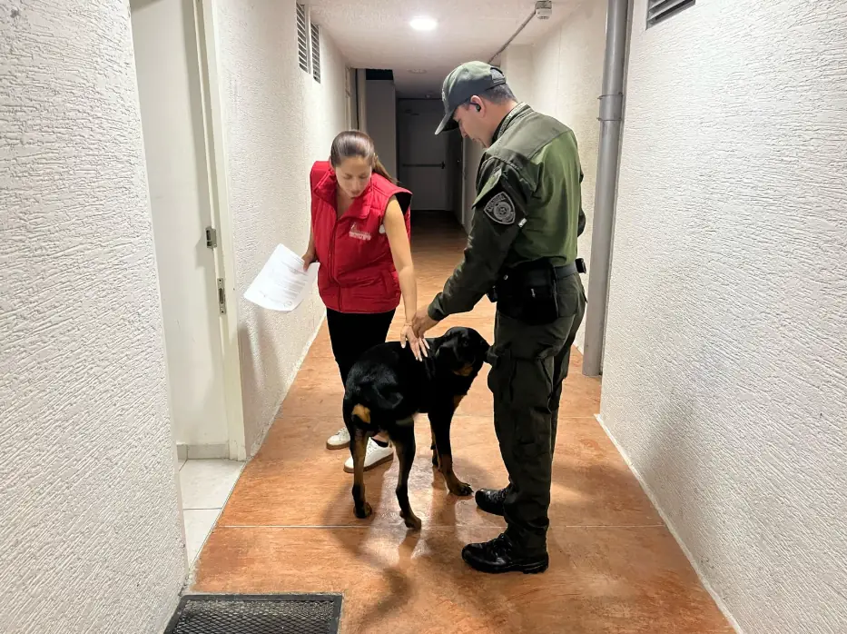 Alcaldía de Dosquebradas liberó a Prometeo de maltrato animal