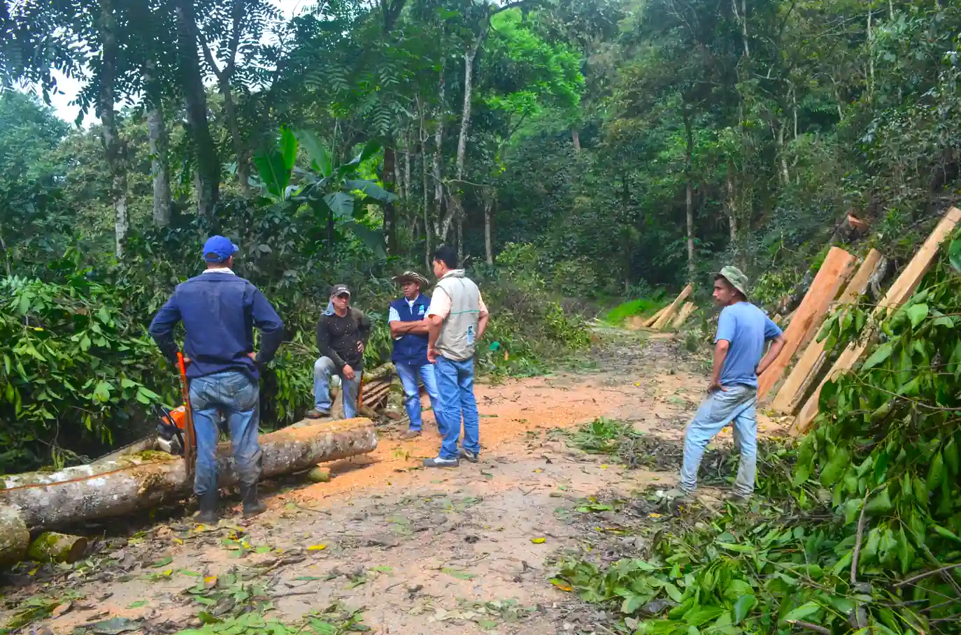 CONTROLES AMBIENTALES DURANTE LA TEMPORADA AMBIENTAL