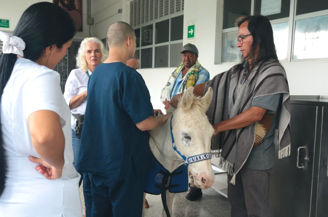 La terapia asistida con animales es una apuesta del Hospital Mental Universitario de Risaralda