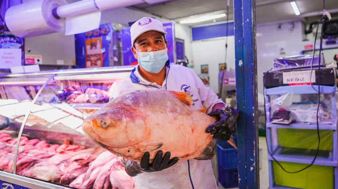 En la Semana Mayor, los sectores acuícola y pesquero del país invitan a comer las delicias de los mares y ríos colombianos