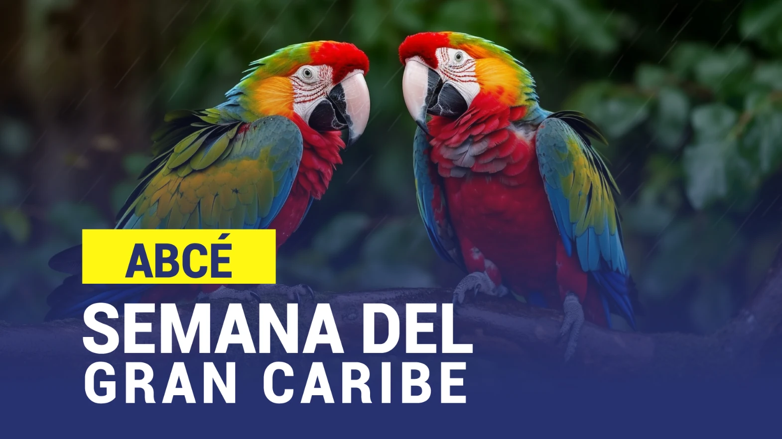 ABECÉ SEMANA DEL GRAN CARIBE