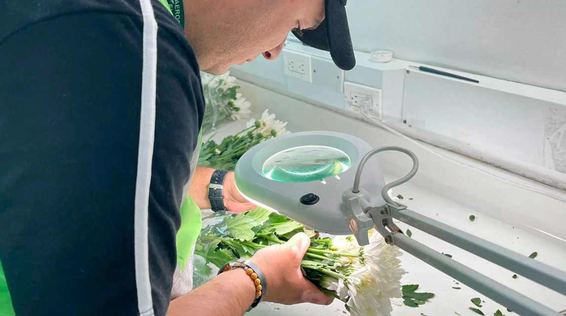 Por Día de la Madre, Colombia ha exportado por mar y agua 61.000 toneladas de flores