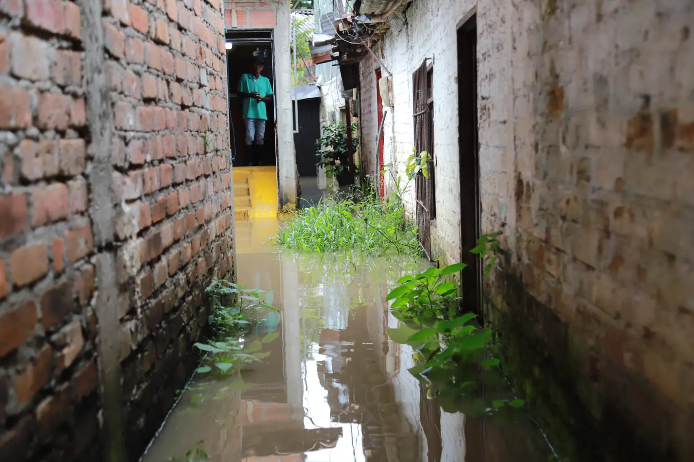 La CARDER lideró coordinación técnica en Consejo Extraordinario de Gestión del Riesgo en La Virginia ante creciente del Río Cauca