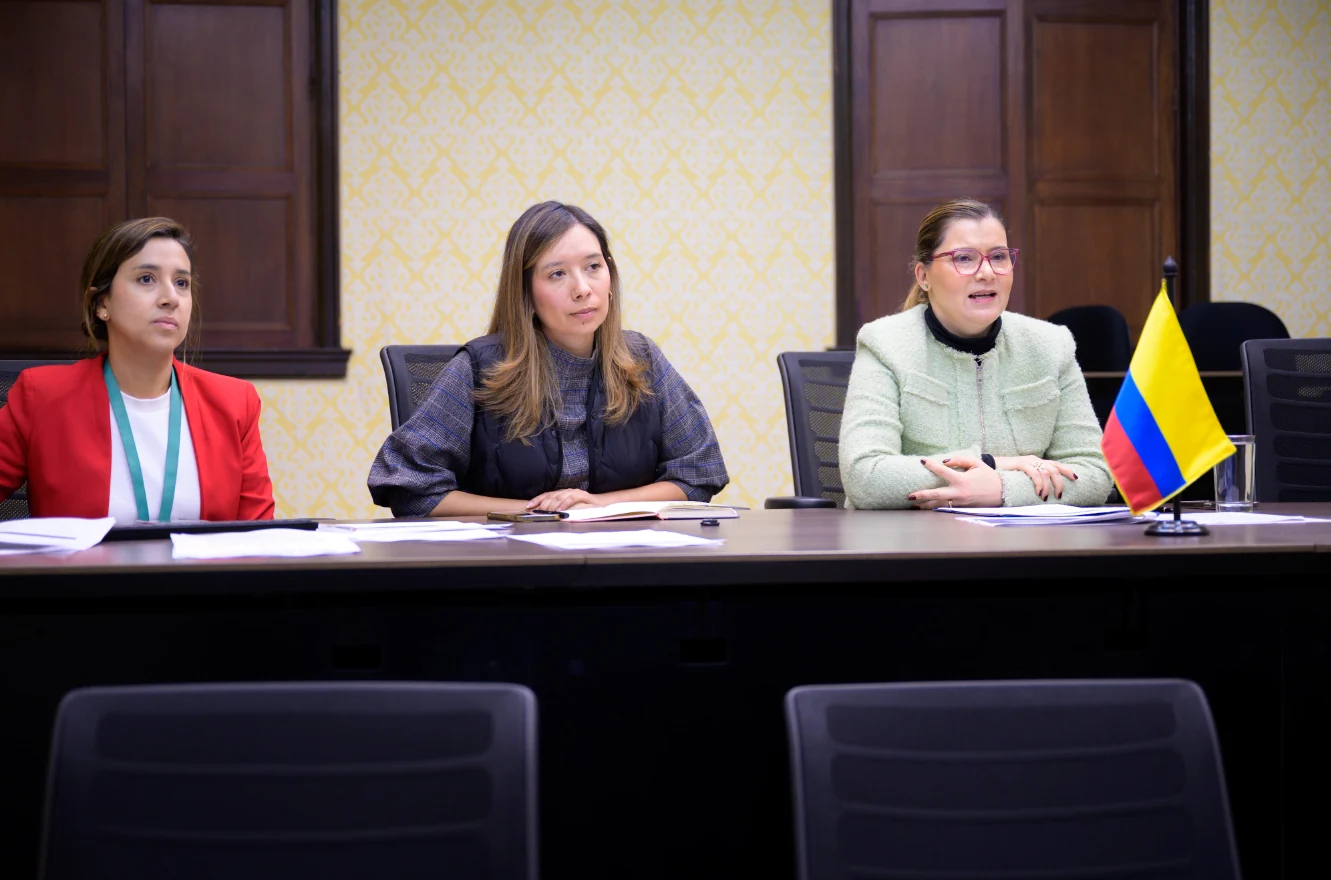 Cancillería lidera primera reunión del Grupo de Amigos sobre derechos de personas con discapacidad y agenda de población y desarrollo