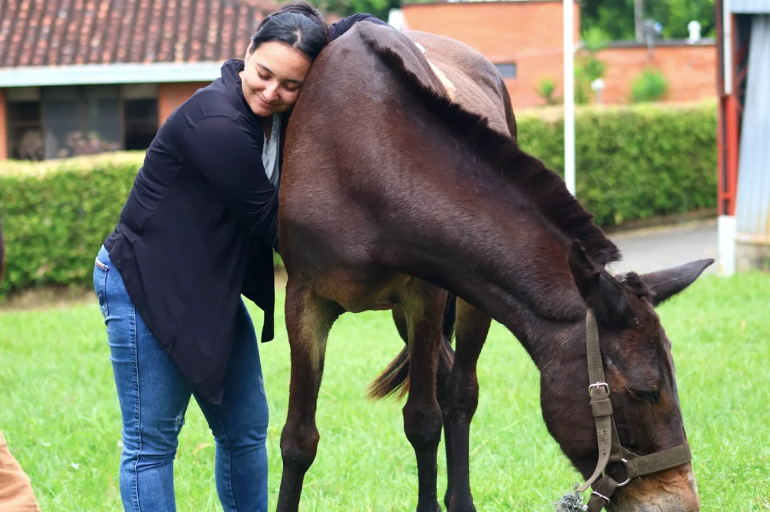 El sistema educativo se fortalece en Risaralda con la consolidación de la red de docentes orientadores