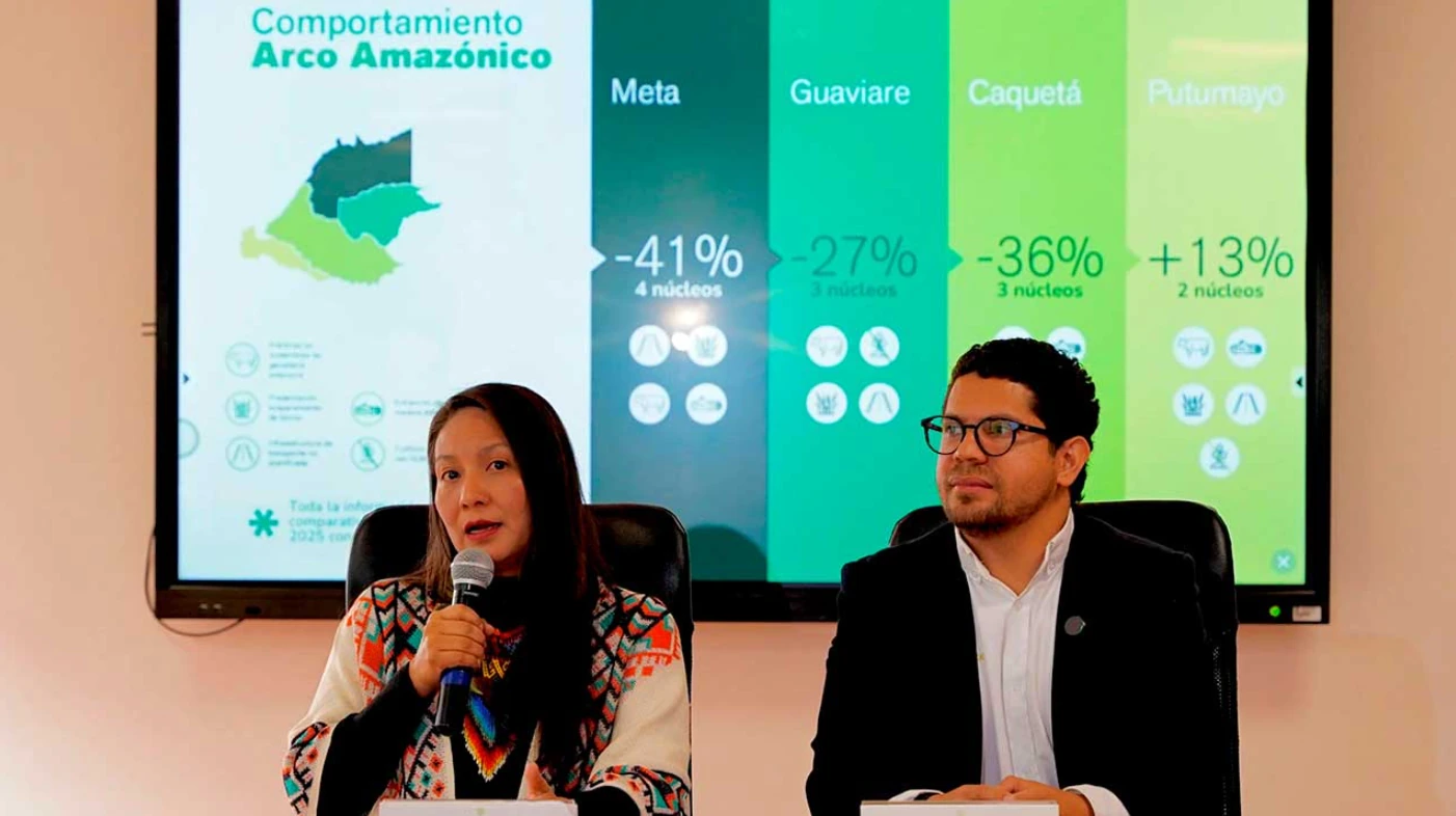 Deforestación cayó 33 % en la Amazonía durante el primer trimestre de 2025