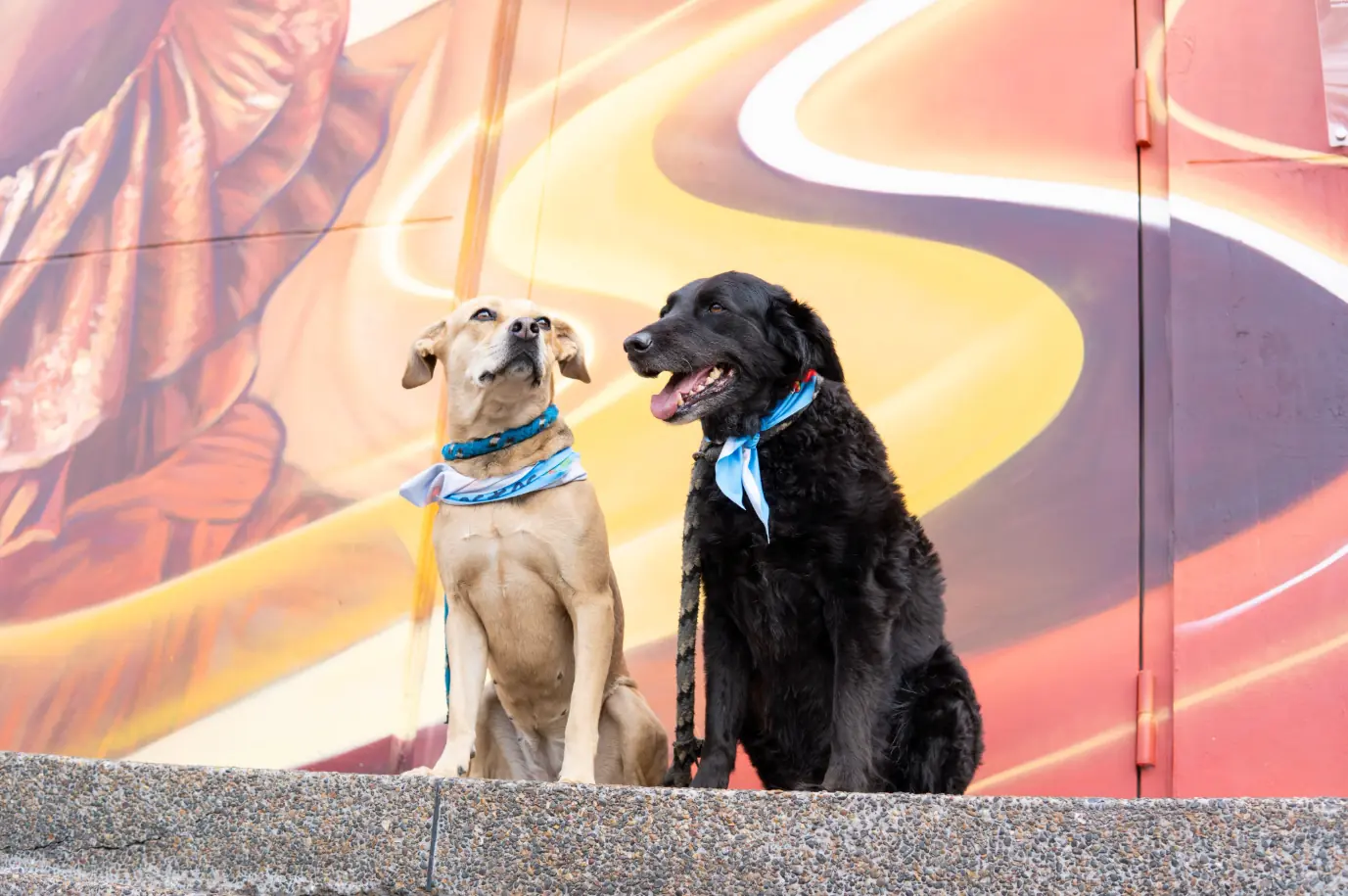 “Lenguajes del Alma”, un mural que le da voz al arte en el corazón cultural de Pereira