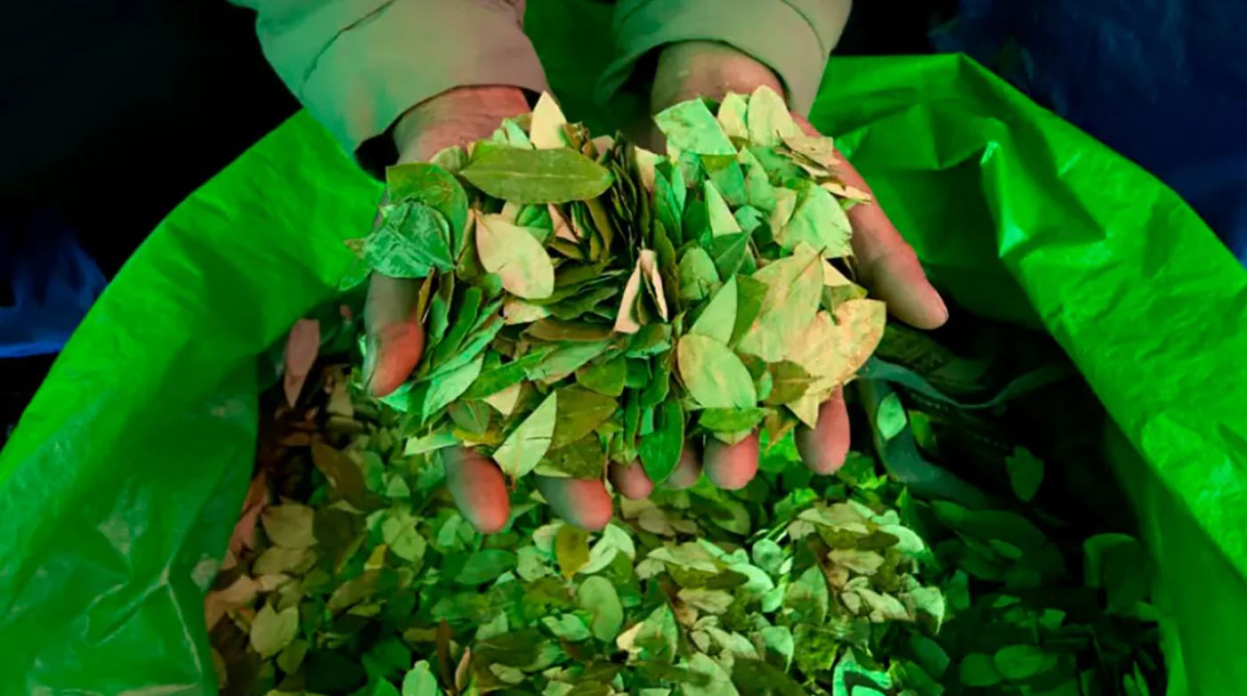 Cancillería aborda usos lícitos de la hoja de coca y política migratoria de España