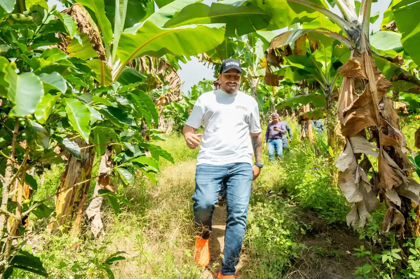 El futuro se cultiva: así renace el agro en Risaralda bajo el liderazgo de un gobernador zootecnista