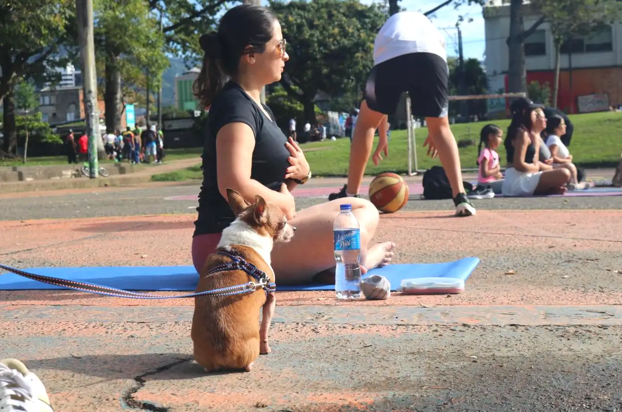 El próximo domingo 3 de agosto, la Vía Activa tendrá cambios por el partido entre el Deportivo Pereira y Once Caldas
