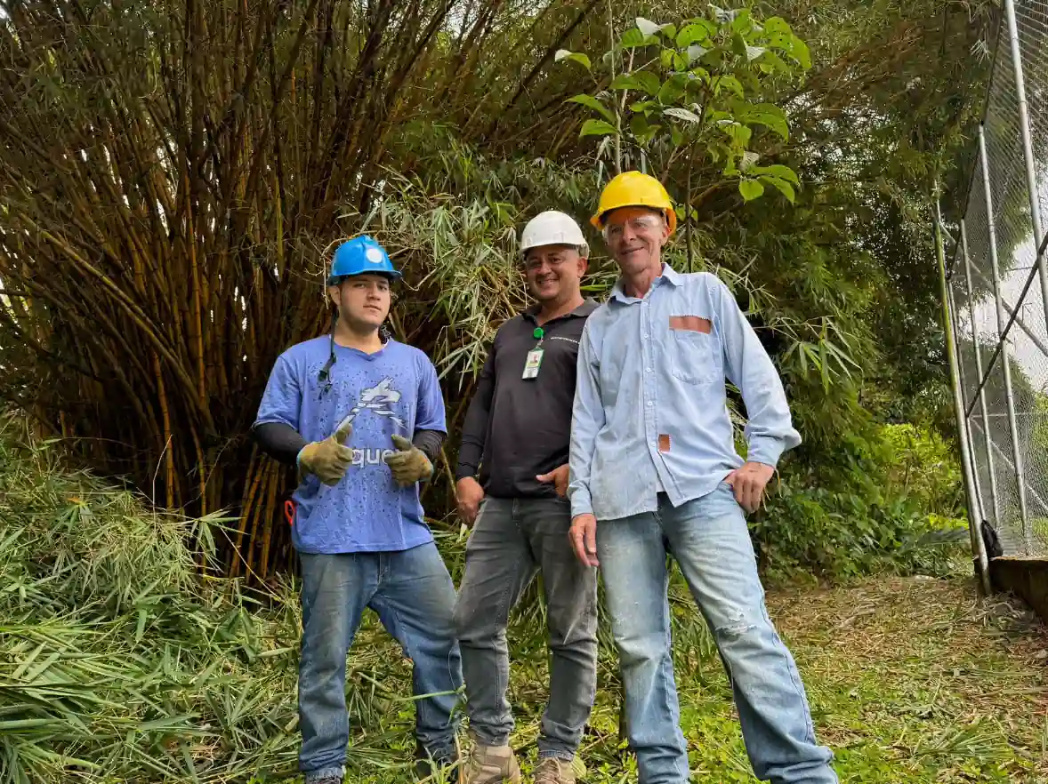 Con la intervención de 54 guaduales y 13 quebradas, Dosquebradas protege sus tesoros verdes