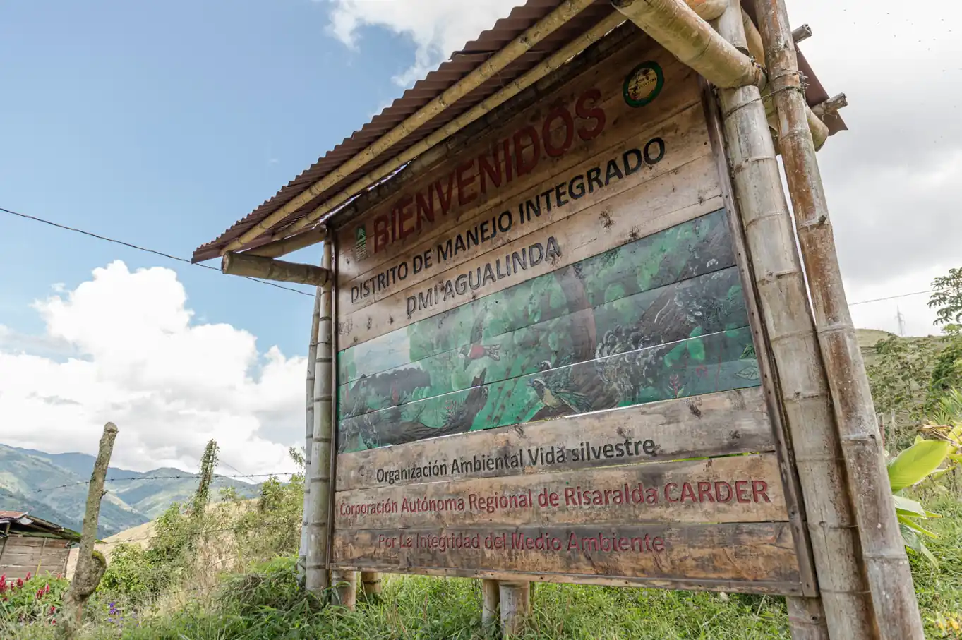CARDER frenó evento ilegal de motociclismo extremo en zona protegida de Apía