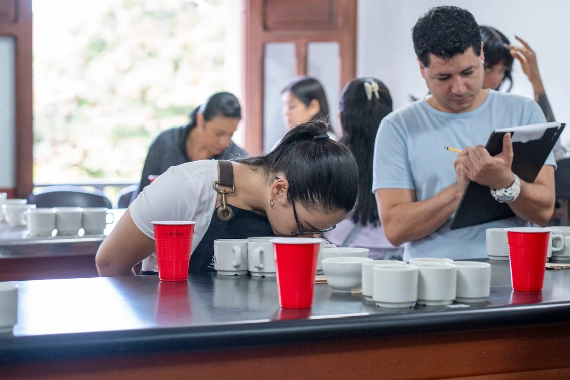 Risaralda le apuesta al futuro del café con formación en el nuevo sistema de evaluación CVA