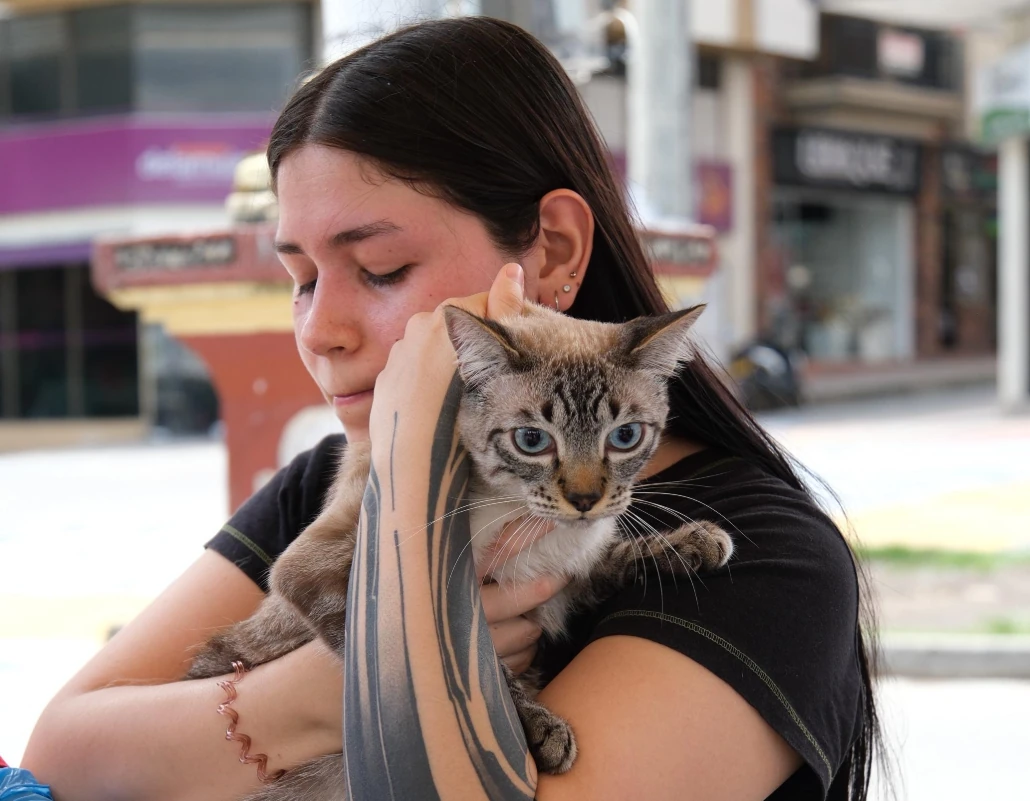 Cuatro mil perros y gatos fueron vacunados en Risaralda durante la jornada antirrábica