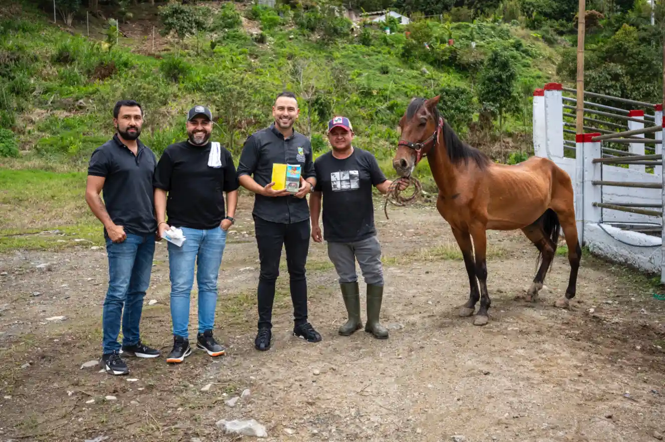 Un nuevo comienzo para Valentín: el caballo rescatado tras graves signos de maltrato animal